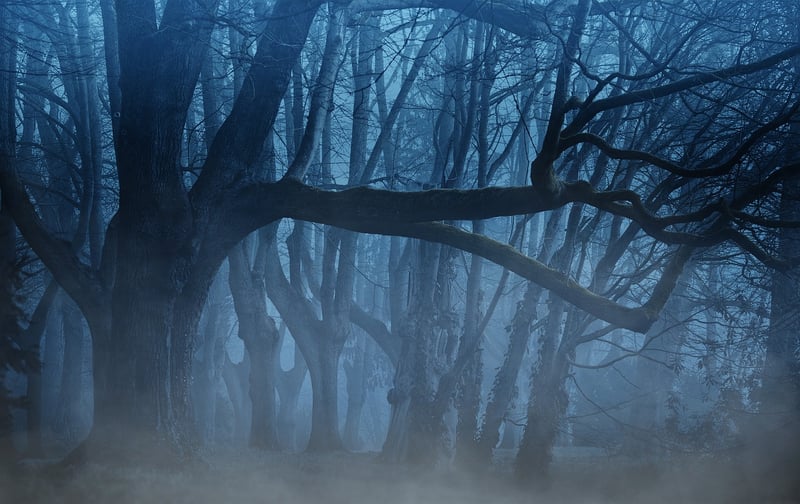 Mysterious Shadows